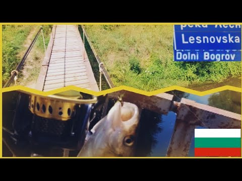 Видео: ТЕЗИ УДАРИ ЧАКАХ р.ЛЕСНОВСКА ПРИ БОГОРОВ.РИБОЛОВ НА КЕФАЛ (клен) С БУЛДО.