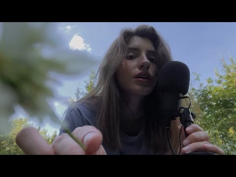 Видео: лесной АСМР / Asmr