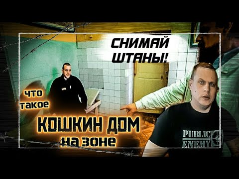 Видео: КОШКИН ДОМ НА ЗОНЕ