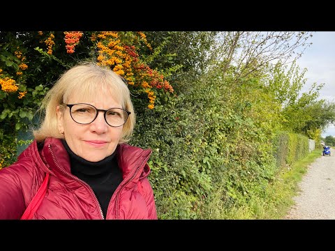 Видео: К ЗИМЕ ГОТОВА: ТАБЛЕТКИ, ЗЕМЛЯ И ТОННА ВИТАМИНОВ!