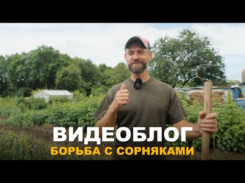 Видео: ВИДЕОБЛОГ: Как избавиться от сорняков? Проверенные способы борьбы с сорняками.