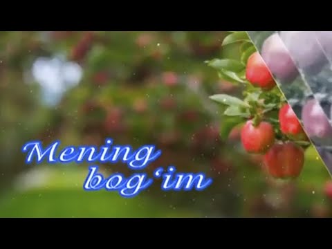 Видео: Жарқўрғонлик боғбон бобо сирлари | Mening bog'im