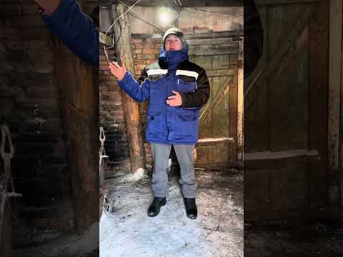 Видео: Правильный рацион питания овец Гиссарская порода