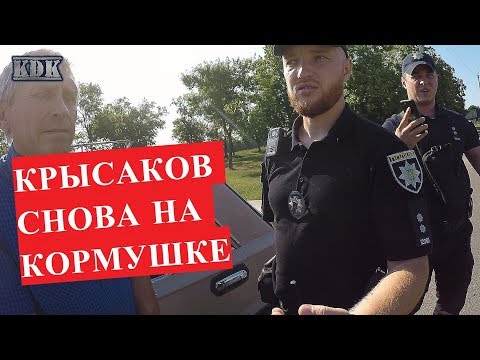 Видео: Крысаков снова обделался. Патрулирует без папы, но с мужем.