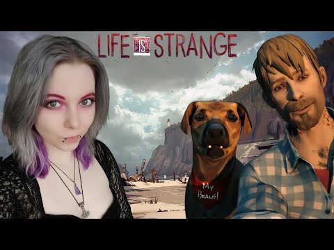 Видео: Новый друг и улики🦋Life is Strange #16