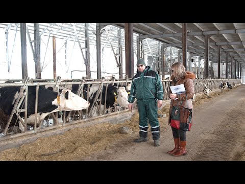 Видео: МИГ Тервел-Крушари - Пример за партньорство между селски общини (РЕПОРТАЖ)