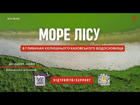 Видео: В глибині колишнього Каховського водосховища? Кінські плавні - Великий луг!