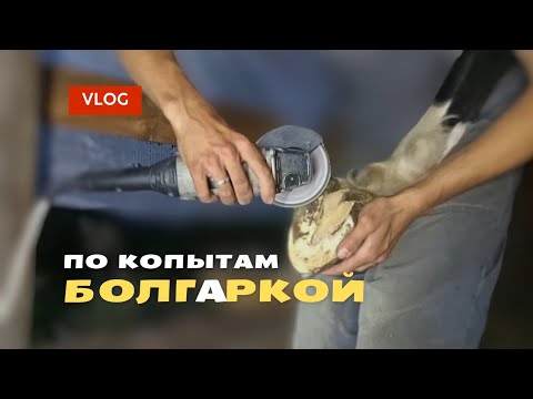 Видео: Расчистка Копыт болгаркой 😳🤪 VLOG