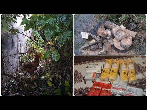 Видео: Наші будні 7 жовтня 2025