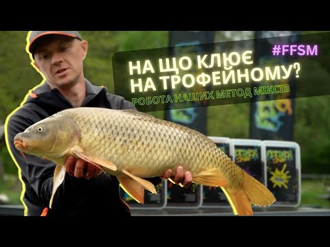 Видео: На що клює на трофейному. Робота метод міксів Feeder Strike #ffsm #flat #флетфідер