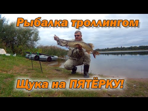 Видео: Щука на ПЯТЁРКУ! Осенняя ловля щуки троллингом 2022