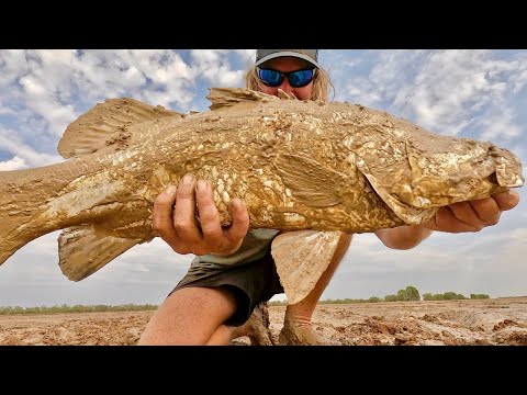 Видео: ИСПОЛЬЗОВАНИЕ ПРИМАНОК И ЖИВОЙ НАЖИМКИ ДЛЯ ЛОВЛИ БАРРАМУНДИ...НУМУСА..