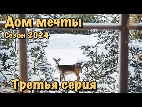 Видео: Сторою домик в тайге сезон 2024 третья серия