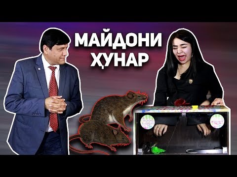 Видео: Чонон дар барномаи МАЙДОНИ ХУНАР / Муш Чонона Газид!