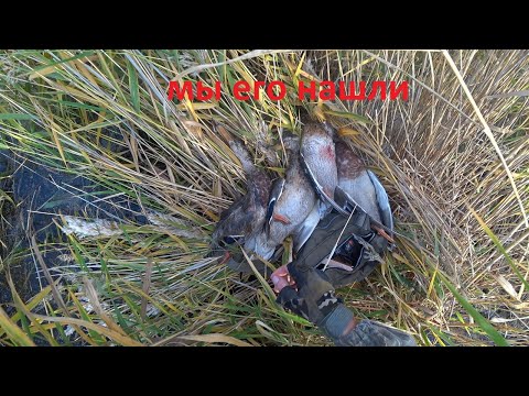 Видео: Охота на крякву.  Ищем новые места