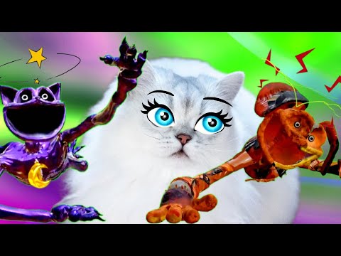 Видео: Кошечка Василиса ПЕРЕХИТРИЛА  Догдея и Кэтнэпа!