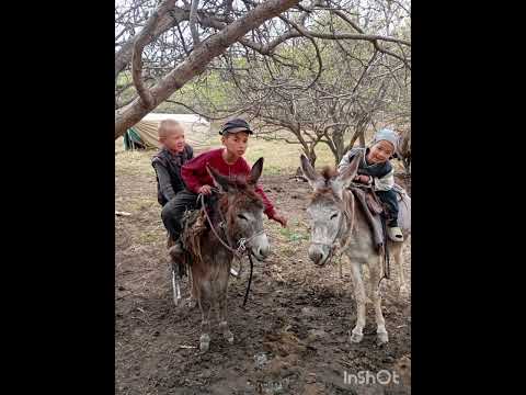 Видео: 10 июля 2025 г.