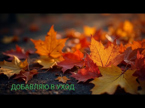 Видео: ДОБАВЛЯЮ СРЕДСТВА В УХОД ДЛЯ ДОМА🍁ДЛЯ СЕМЬИ🍁 ОКТЯБРЬ 2025