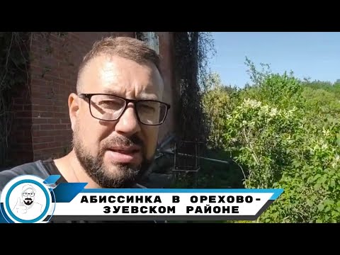 Видео: удивительно чистая вода в Орехово-Зуево на первых песках!