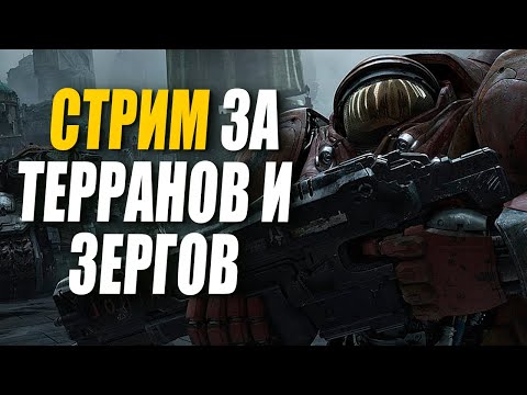 Видео: [СТРИМ] Корейский ладдер за две расы - Терраны и Зерги в StarCraft 2