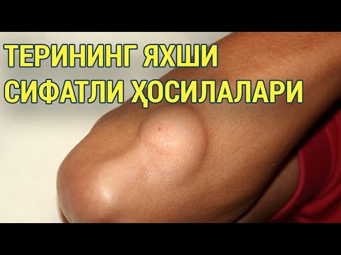 Видео: Терининг яхши сифатли ҳосилалари
