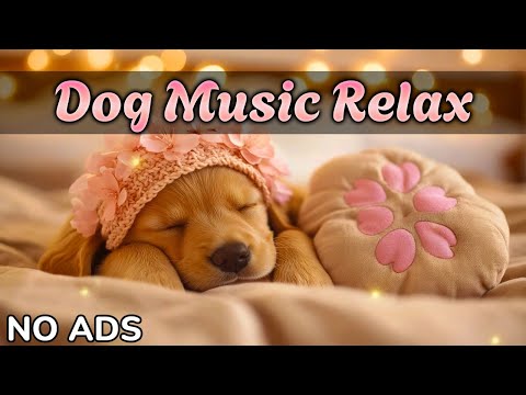 Видео: Расслабляющая музыка для собак🐾 — проверенные звуки, которые помогут вашему щенку заснуть🎶