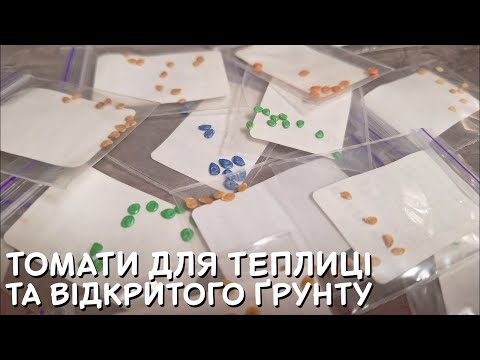 Видео: ЯКІ ТОМАТИ ПОСАДИТИ НА НАСТУПНИЙ СЕЗОН 🍅 РОЗПАКОВКА НАСІННЯ ТА ОГЛЯД СОРТІВ!