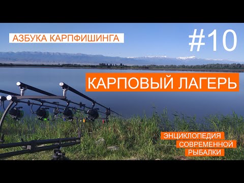Видео: "ЭНЦИКЛОПЕДИЯ СОВРЕМЕННОЙ РЫБАЛКИ". "АЗБУКА КАРПФИШИНГА"