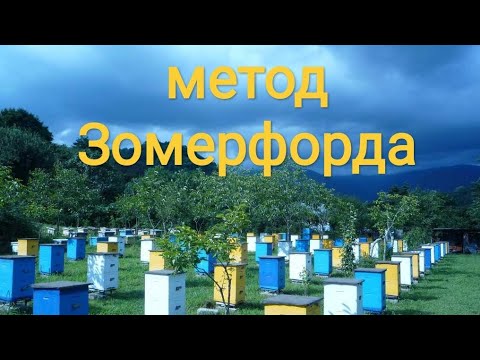 Видео: метод Зомерфорда