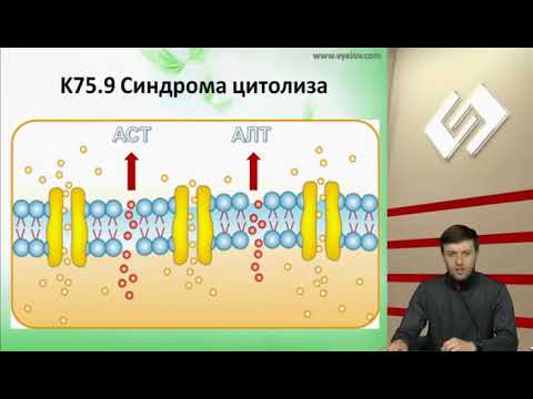 Видео: Синдром цитолиза