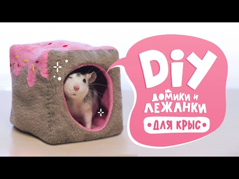 Видео: DIY: Шьем для грызунов | Гамак, домик, лежанка