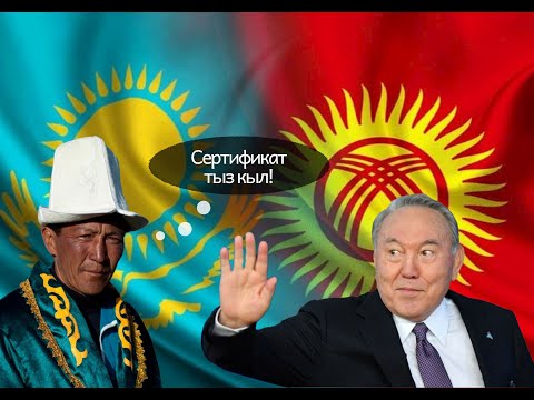 Видео: Сертификаты от Киргизии под запретом. Пока что только в Казахстане.