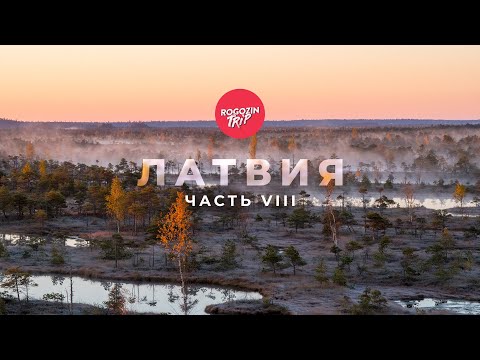 Видео: Путешествие по Латвии. Часть 8. Сказка Юркалне. Янтарь. Вороватая лиса.