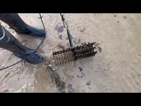 Видео: Чистка пляжа , рыбалка на поисковые грабли за золотом 