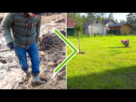 Видео: ОТ воды и грязи - ДО сухого участка, принудительный дренаж | Газон с клевером