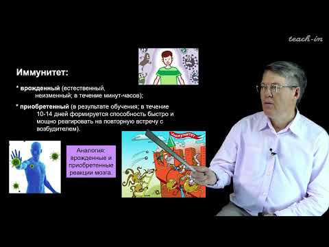Видео: Дубынин В. А. - 100 часов школьной биологии - 1.5. Иммунная система