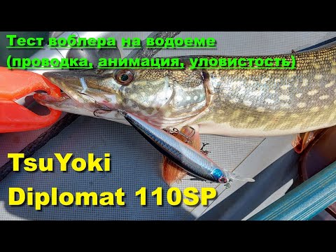 Видео: TsuYoki Diplomat 110SP - тест воблера на водоеме (проводка, анимация, уловистость)
