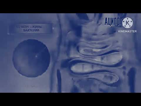Видео: Реклама Аципол - Октябрь 2020 Effects