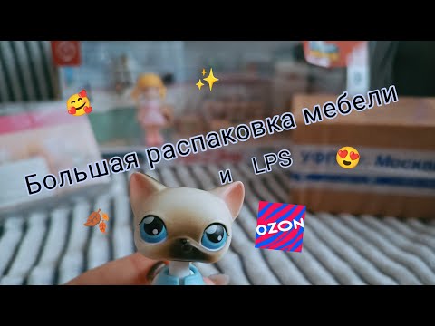 Видео: Новинки Lps и мебели! Огромный набор с Ozon🥰🍂