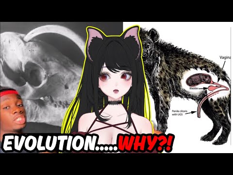 Видео: Животные, получившие СРЕДНИЙ ПАЛЕЦ от ЭВОЛЮЦИИ | Casual Geographic РЕАКЦИЯ