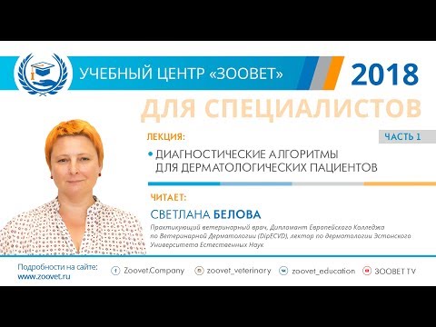 Видео: Светлана Белова в УЦ ЗООВЕТ | Дерматология. Часть 1/2