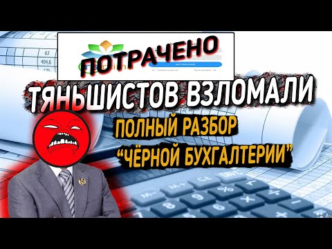 Видео: "Чёрная бухгалтерия" тяньшистов. Подробный разбор уникальной инфы. Начало конца?