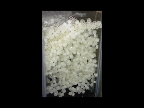 Видео: Слой кипящей биозагрузки в сампе.  upgrade фильтрации.