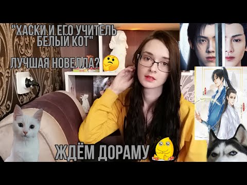 Видео: "Хаски и его учитель белый кот" Лучшая новелла? Обсуждаем БЕССМЕРТИЕ. Ждём трейлер.