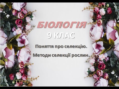 Видео: Відеоурок БІОЛОГІЯ 9 КЛАС "Поняття про селекцію. Методи селекції рослин"