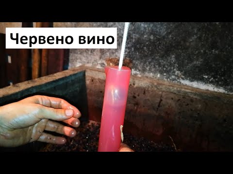 Видео: Лозар прави домашно червено вино