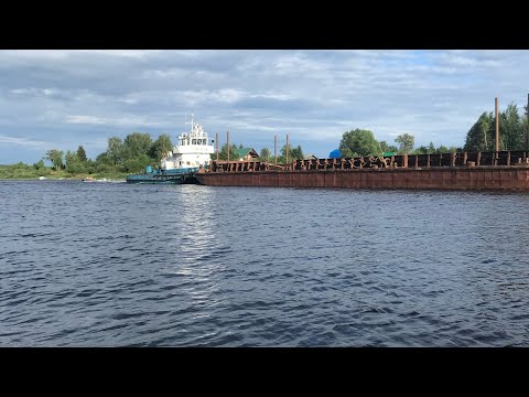 Видео: Polar Bird 340. А стоит ли вообще?