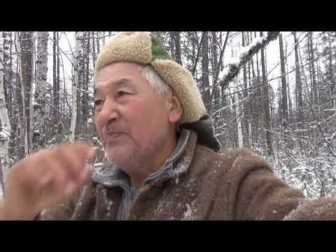 Видео: Охота на соболя 4. Один в тайге.