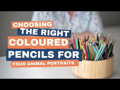 Видео: Еженедельный рисунок | Выбор подходящих цветных карандашей для портретов животных