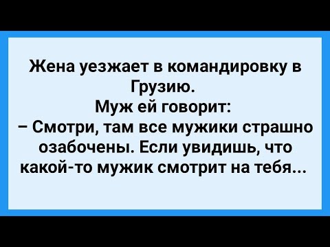 Видео: Жена Едет в Грузию! Сборник Смешных Жизненных Анекдотов! Юмор!.